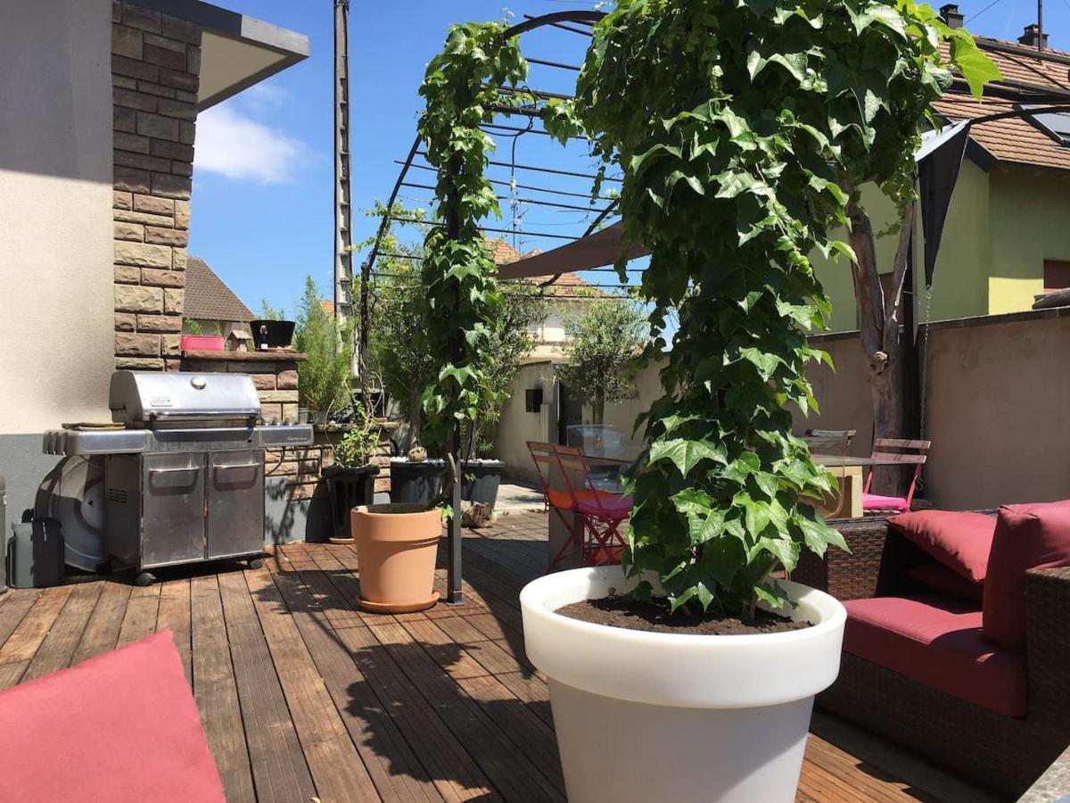 Le Pied A Terre Selestadien Sélestat Екстериор снимка
